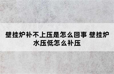 壁挂炉补不上压是怎么回事 壁挂炉水压低怎么补压